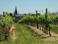 Offres de stands sur-mesure pour vignerons Anjou-Saumur